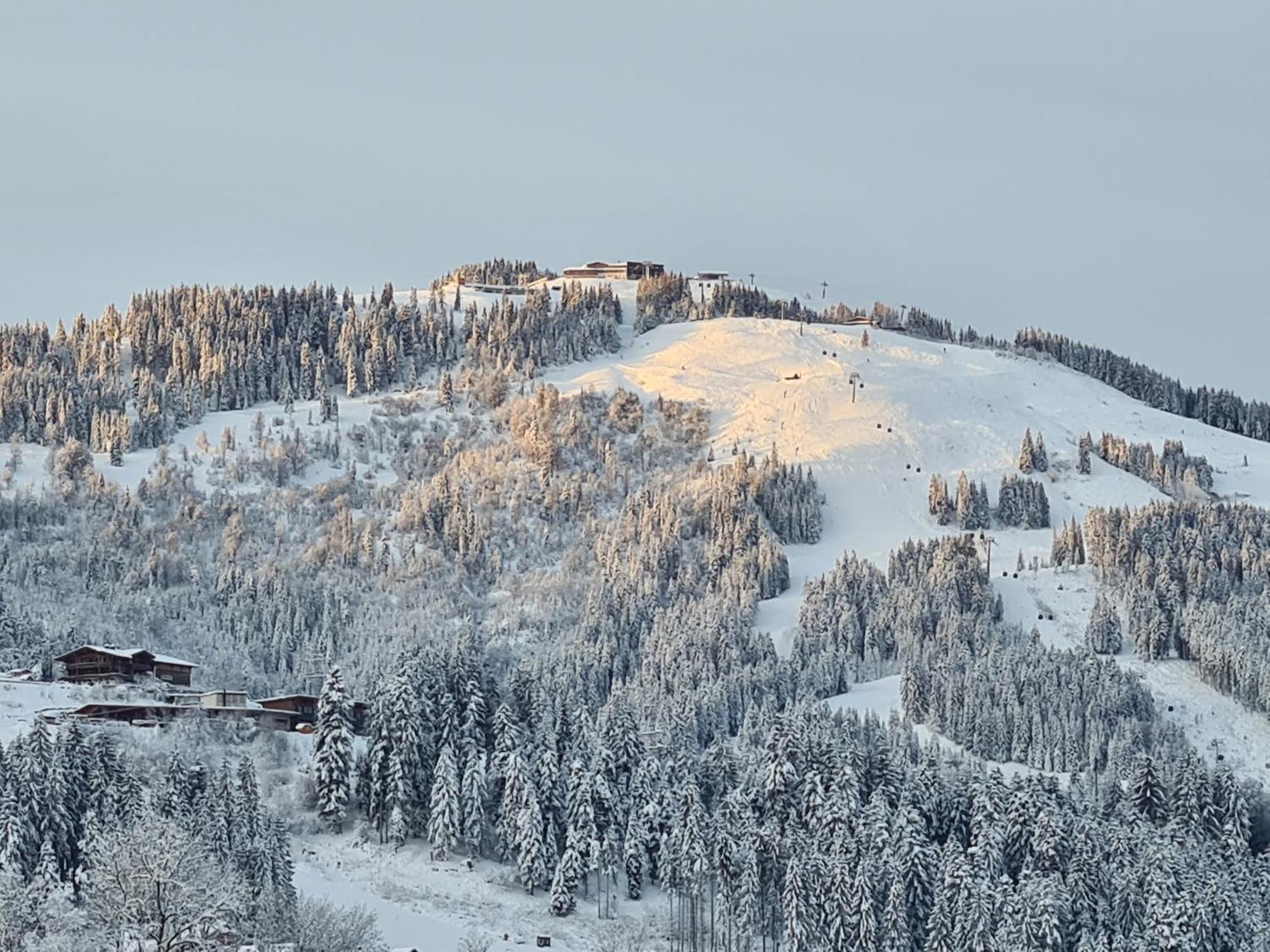 Going Easy Apartment Going am Wilden Kaiser ภายนอก รูปภาพ
